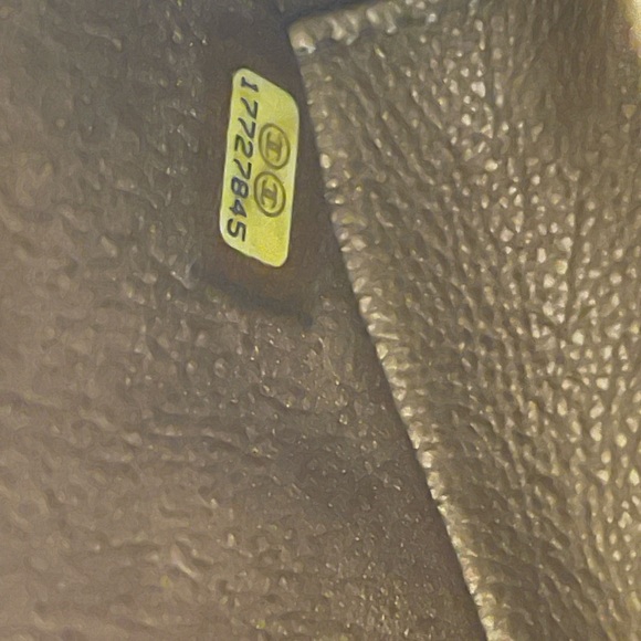 CHANEL Metallic Bronze leather Python Boy Crossbody Bag - Picture 14 of 15